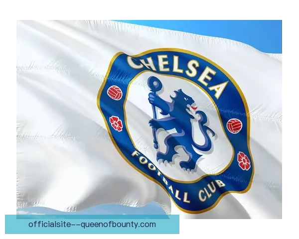 切尔西成功签约霍尔加强防线 目标重返英超巅峰